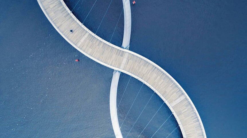 A curved bridge, pictured from above