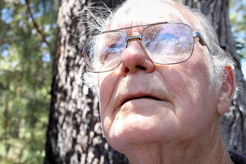 Close up from below of a man with glasses looking up at a tree