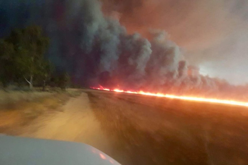 An iPhone photo of a line of fire burning across a field of wheat in low light.