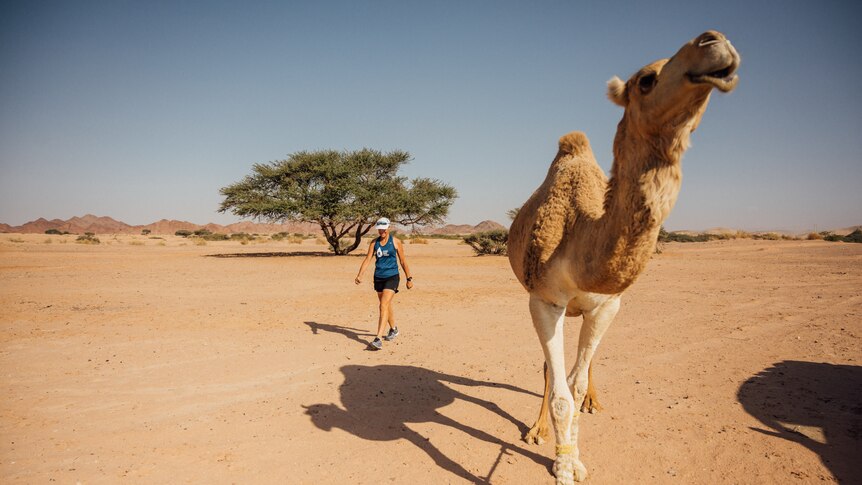 Mina walks through the Wadi Arabah desert alongside a camel with few shrubs and trees in background