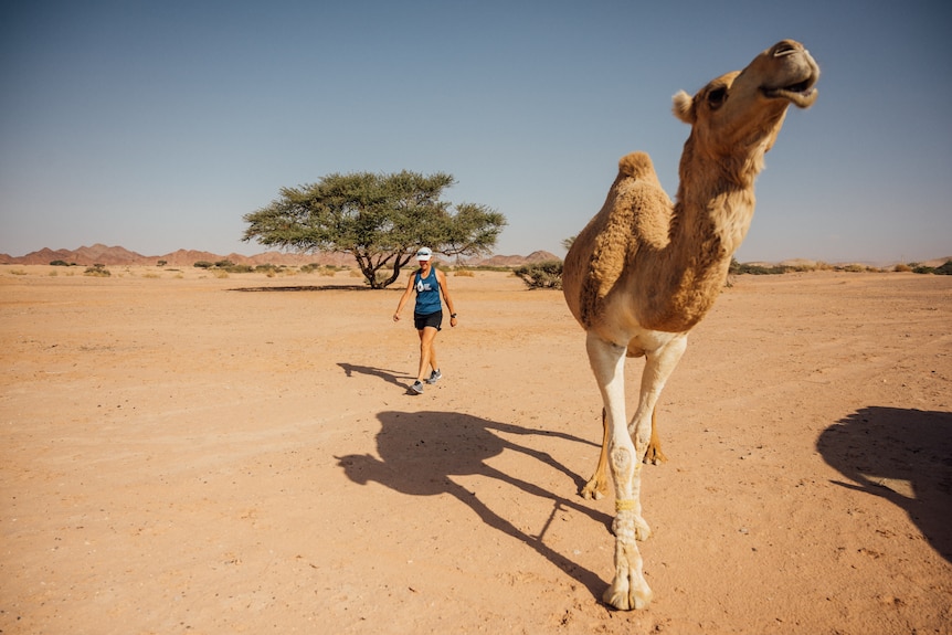 Mina walks through the Wadi Arabah desert alongside a camel with few shrubs and trees in background