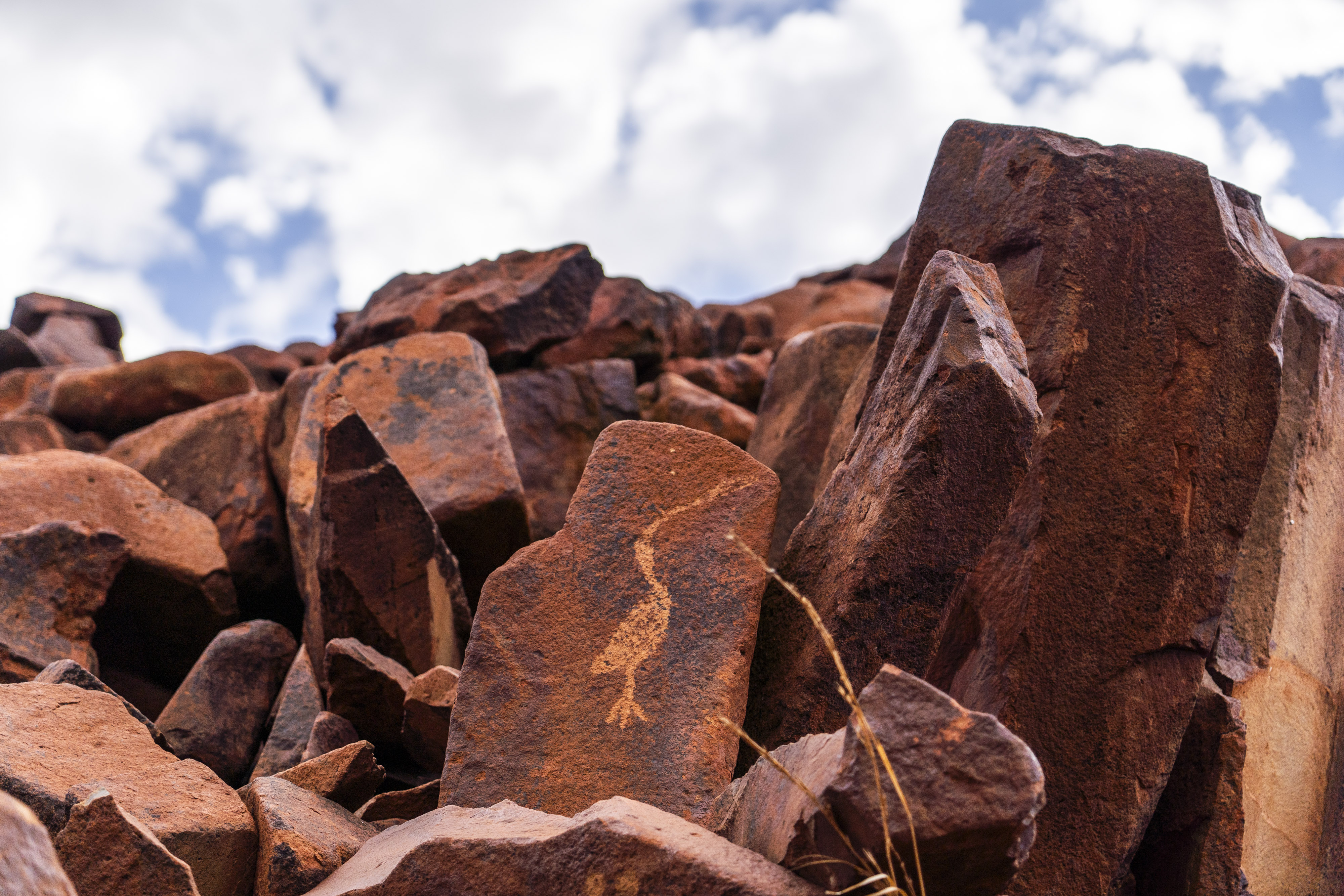 Arte rupestre gravada em algumas rochas vermelhas do que parece ser uma ave limícola. Há um céu azul ao fundo.