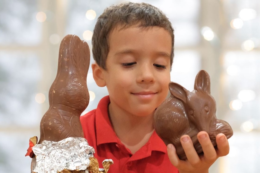 small boy holding a chocolate bunny in one hand and chocolate bilby in the other