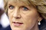 Julie Bishop says the Federal Government has mishandled the Australia Network tender.