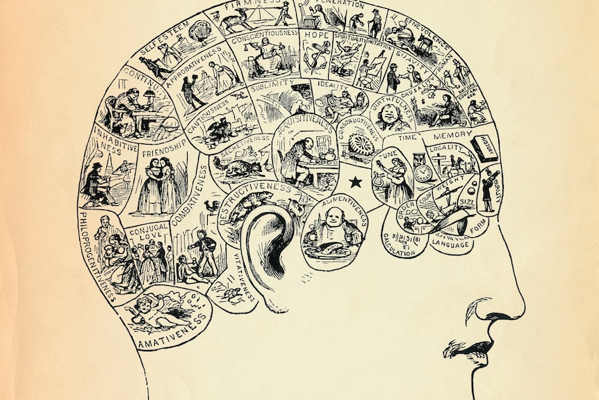 An illustration of a human head with dozens of smaller illustrations of different life experiences inside