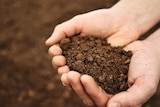 Soil - more than just dirt