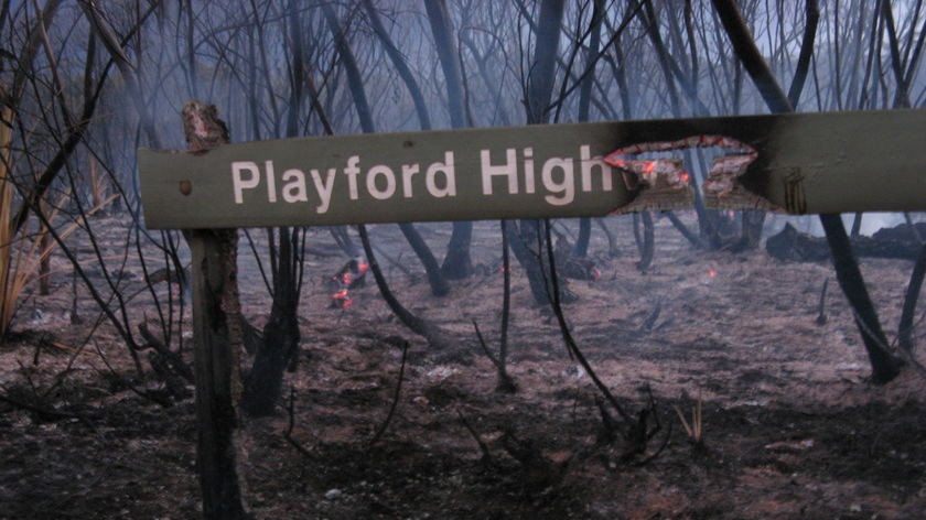 Kangaroo Island bushfire damage