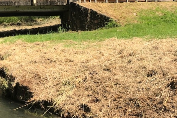 Burnt grass besides a creek and bridge 