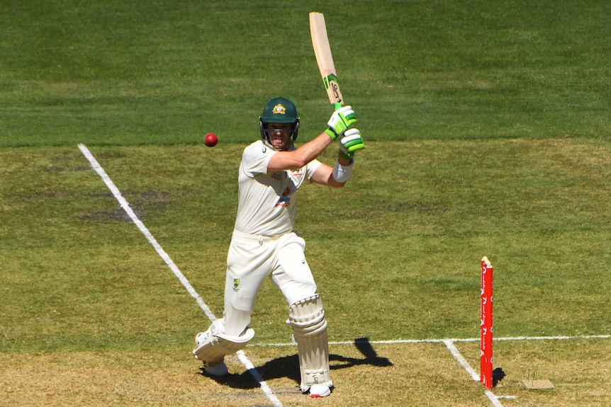 Australia captain Tim Paine completes a pull shot in the second cricket Test against India.