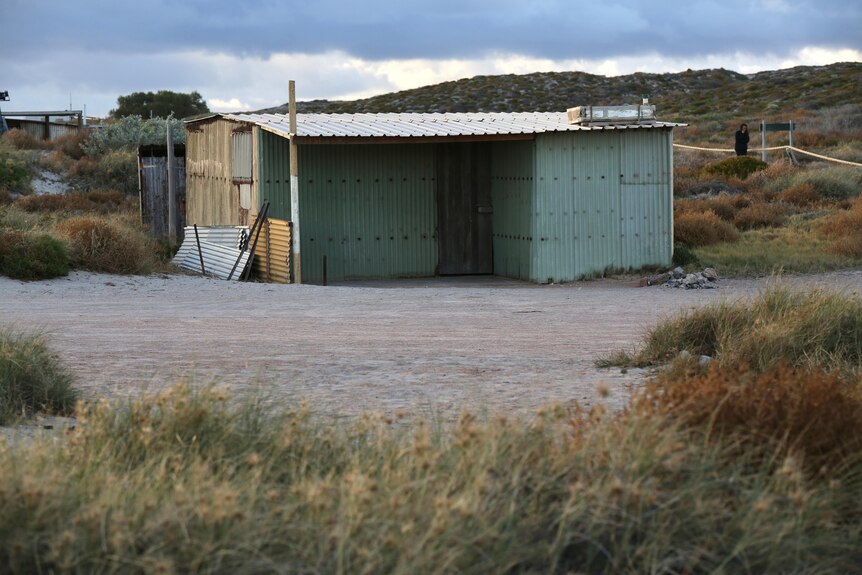 A sandy camp site with beach scrub in the foreground and a tin shack and dunes in the background.
