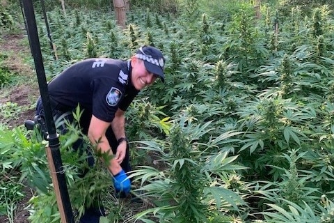 A policewoman is crouching among the plants, looking at the camera, smiling.