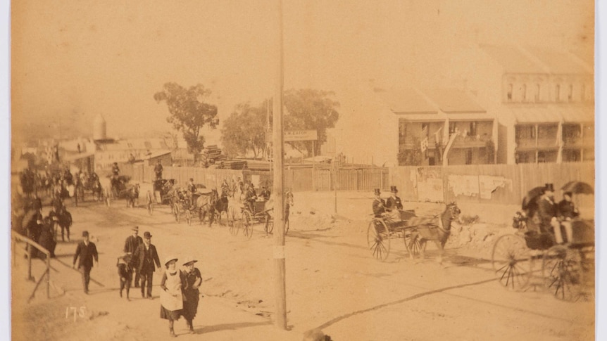 1880s Sydney photos at NSW State Library