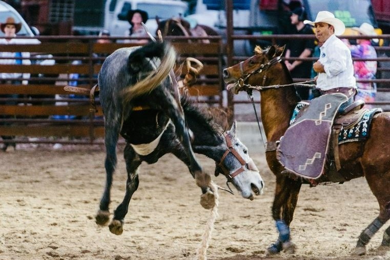 A horse bucking next to a man on another horse
