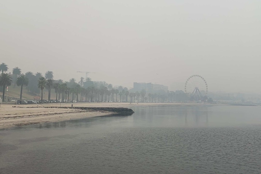 A regional city beside a bay is blanketed in a thick smoke haze.