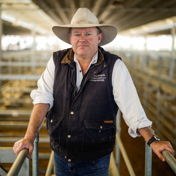 A man stands in sale yards