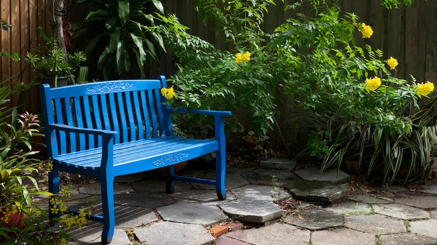 Backyard Garden with blue bench in the Old Southeast neighborhood of Saint Petersburg, Florida.