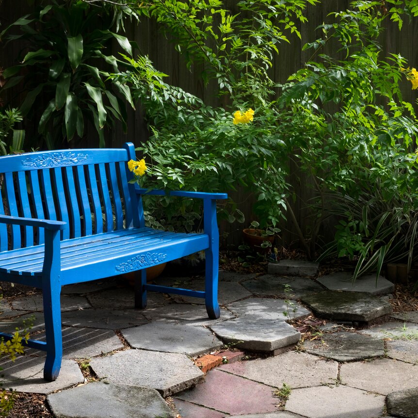 Backyard Garden with blue bench in the Old Southeast neighborhood of Saint Petersburg, Florida.