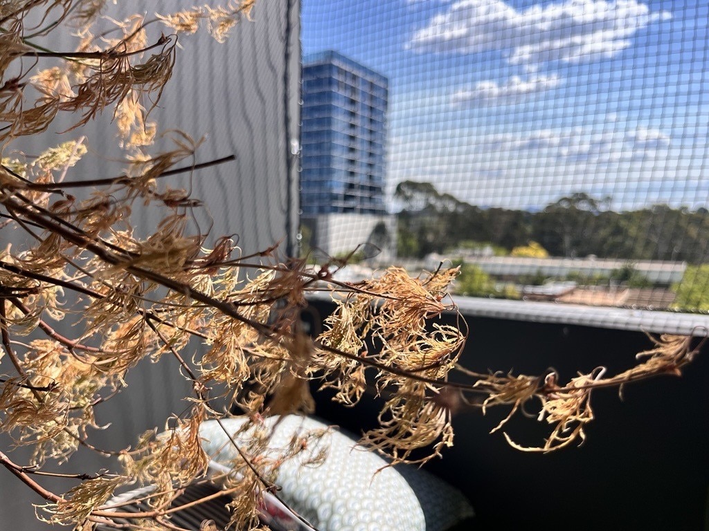 Vista de fora da janela do apartamento.