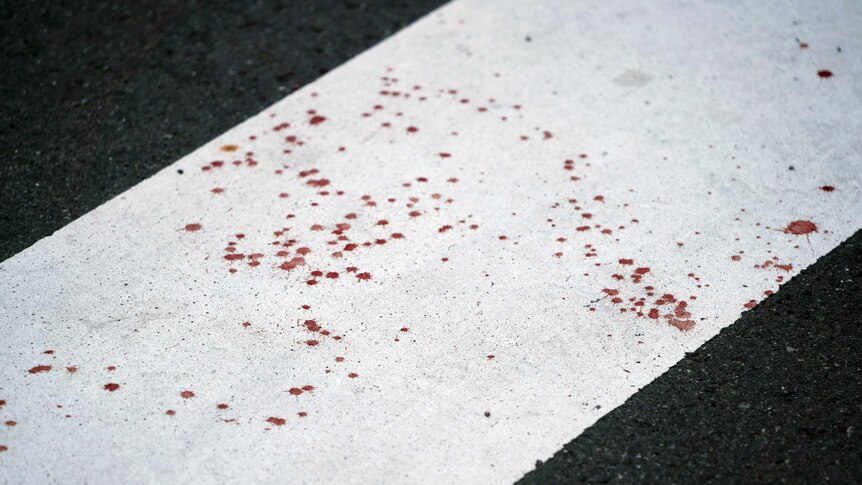 Blood spatter on the road