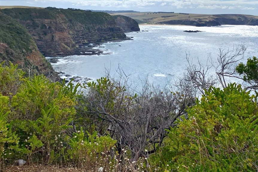 A rocky coastline on a sunny morning.