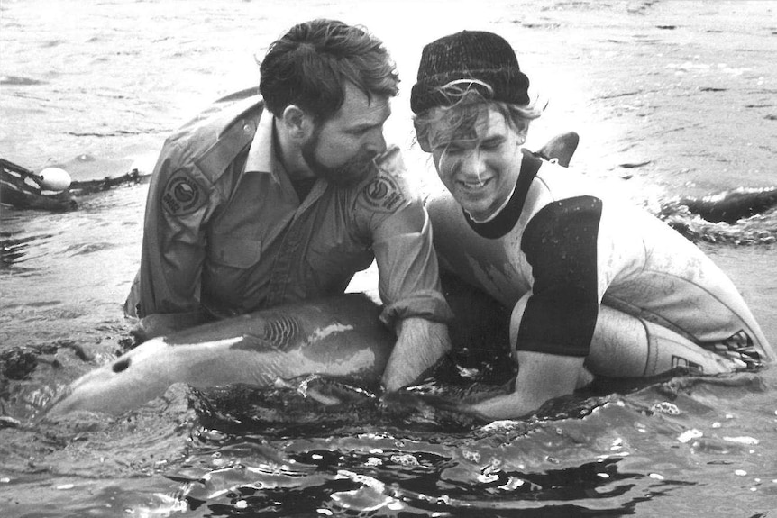Kevin Morrison helping rescue a dolphin with a volunteer, 1988
