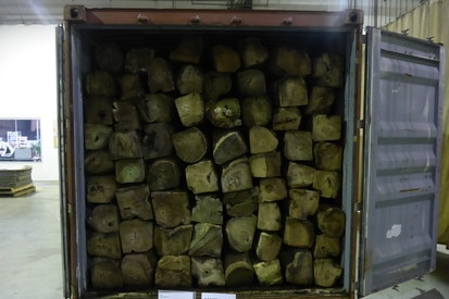 Methamphetamine found in logs