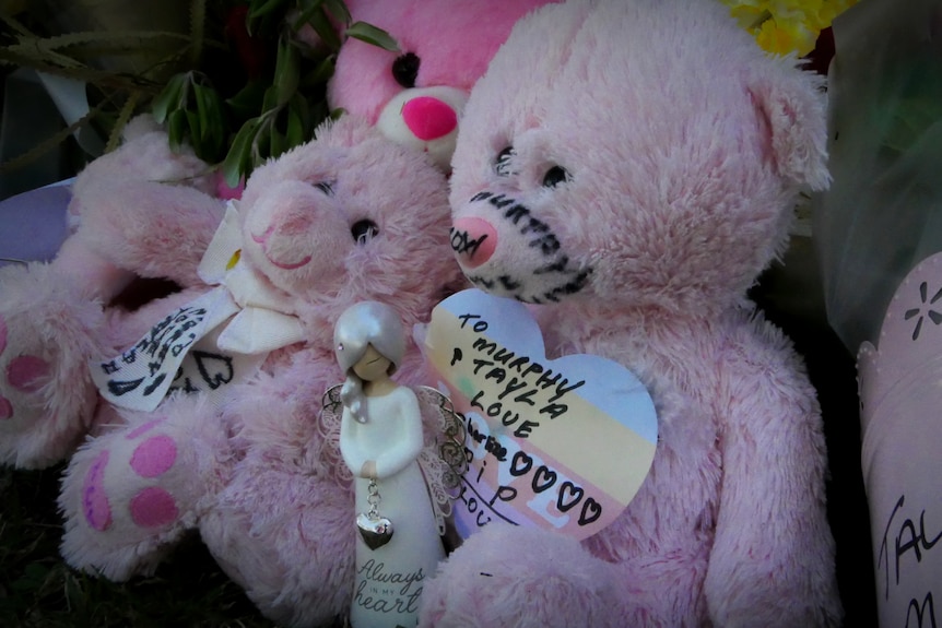 A group of pink teddies and tributes for Tayla and Murphy Cox