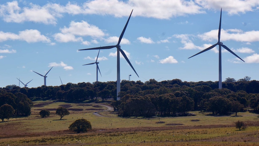 Large wind turbines on a ridge near Crookwell in southern New South Wales.