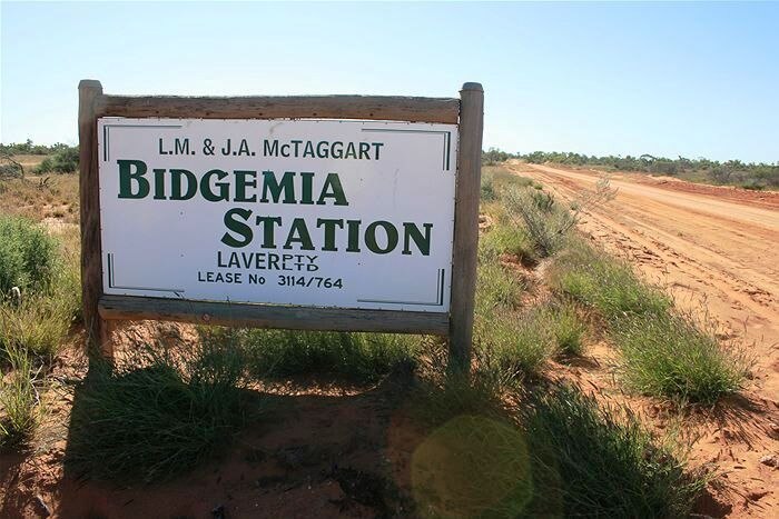 Bidgemia Station in the Gascoyne