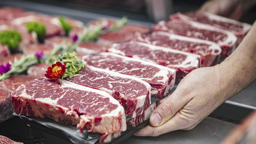 Cuts of beef sit displayed in a butcher. 