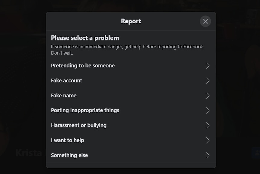 Screenshot of options for reporting profile on Facebook.