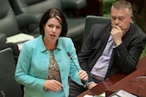 A middle-aged woman in a green suit speaks  in the Victorian Parliament as another MP looks on.