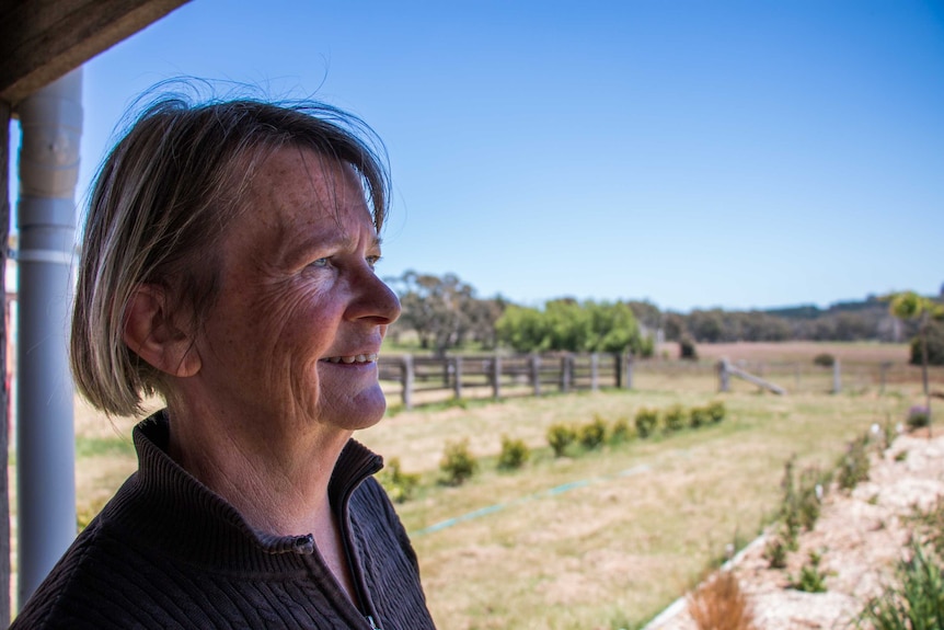 Lyn Stephenson looks out over her paddock