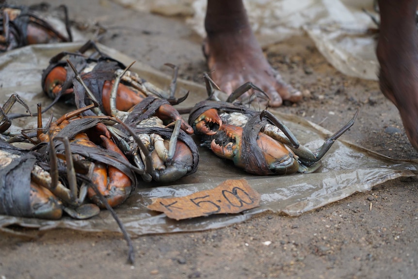 Crabs are tied up and placed on a plastic sheet.