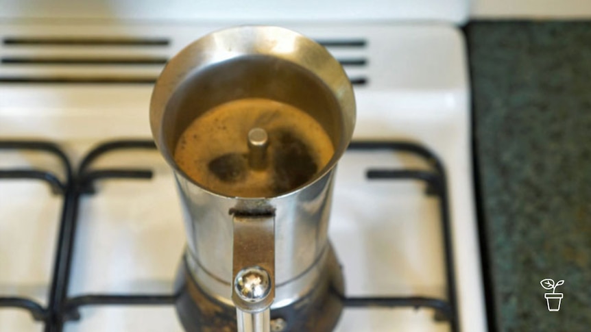 Coffee brewing in pot on stove