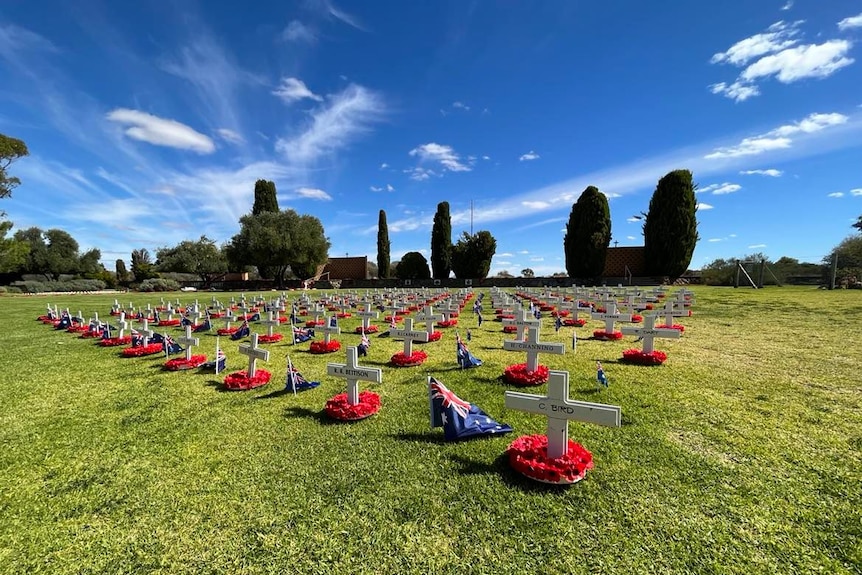 crosses on rows with poppy wreaths and flags.