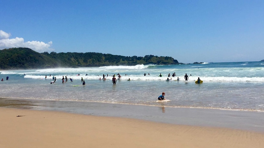 Beachgoers on the NSW North Coast, Summer 2015-16
