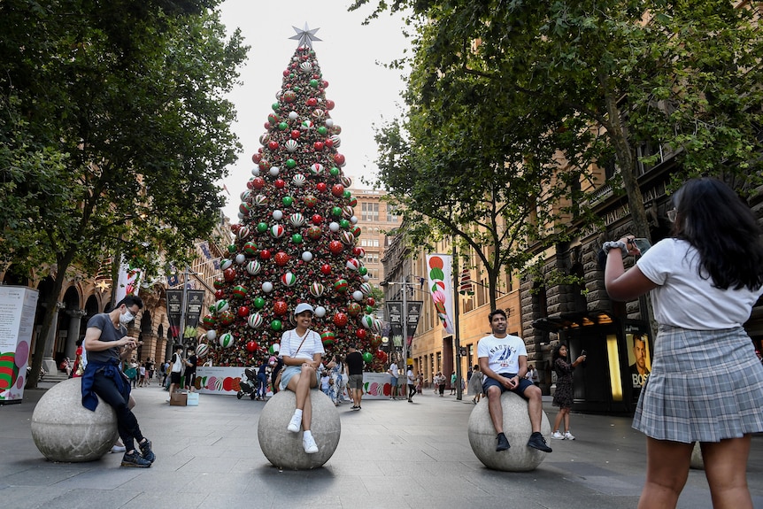 people taking selfies in front of a giant christmas tree