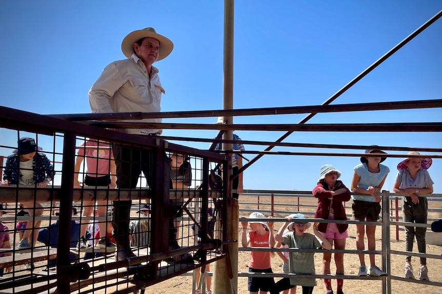 A man in a big hat sit's a top of a cattle yarn as some school kids watch on