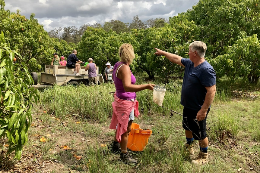 Brian Burton standing with a volunteer and pointing past other orchards to the trees.