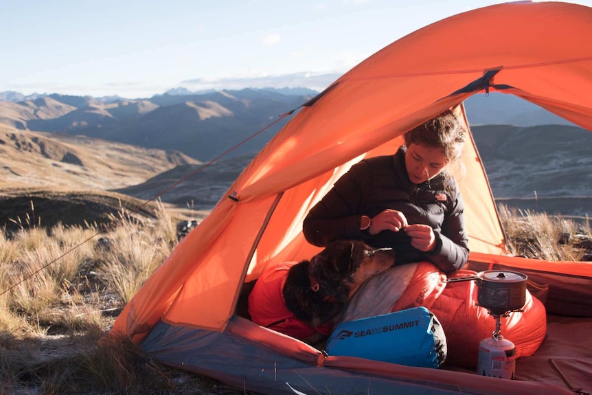 Landscape shot through tent with dramatic ranges. Adventurer Lucy Barnard and dog wombat in tent.