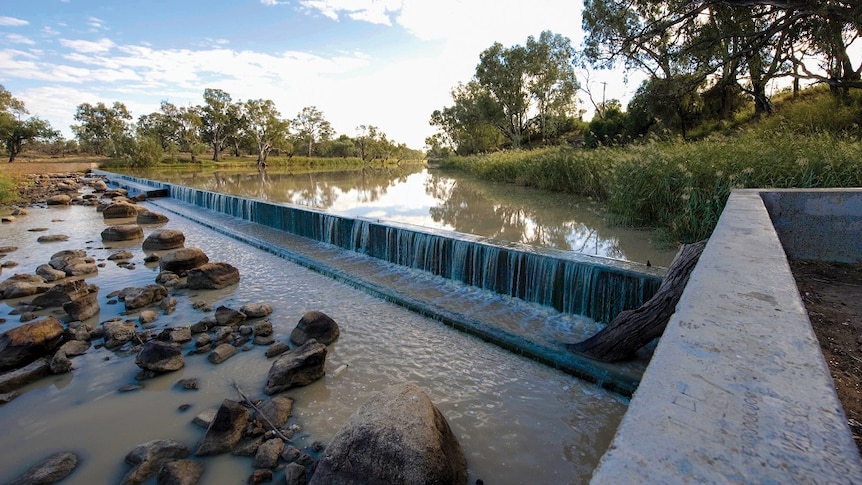 The Barwon River in western NSW.