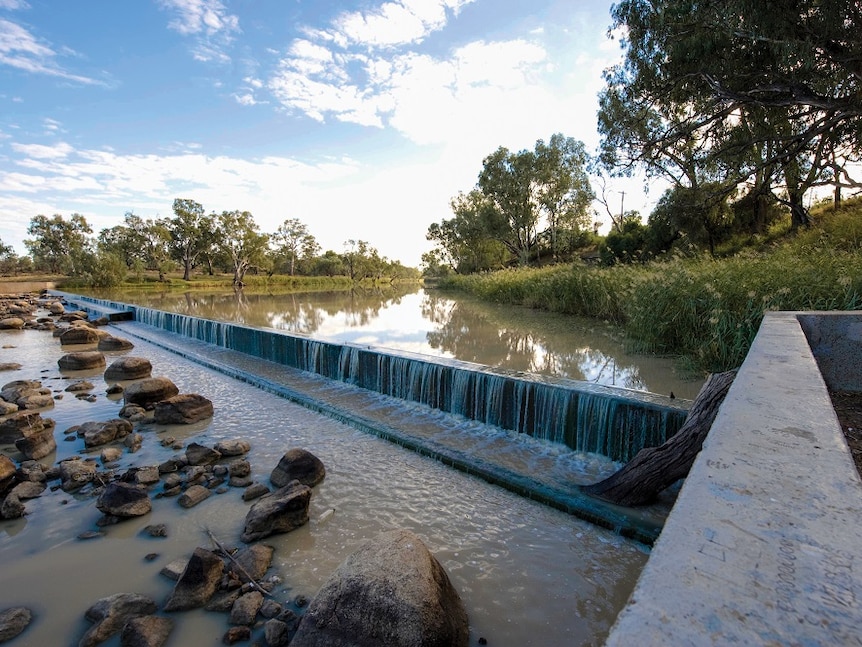 A concrete wall across a river surrounded by trees.