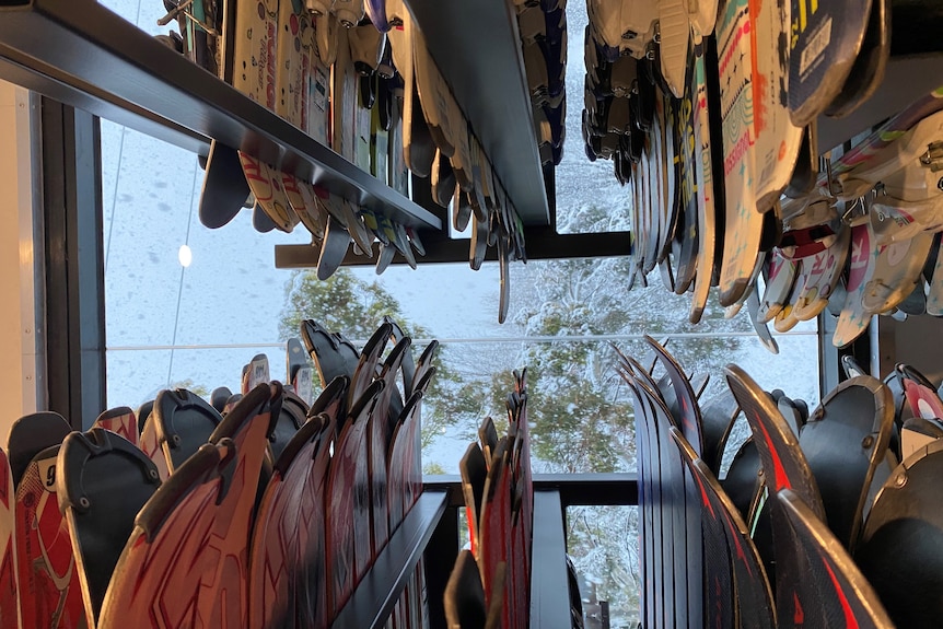 Skis stacked in a store with snow covered trees in the background outside.