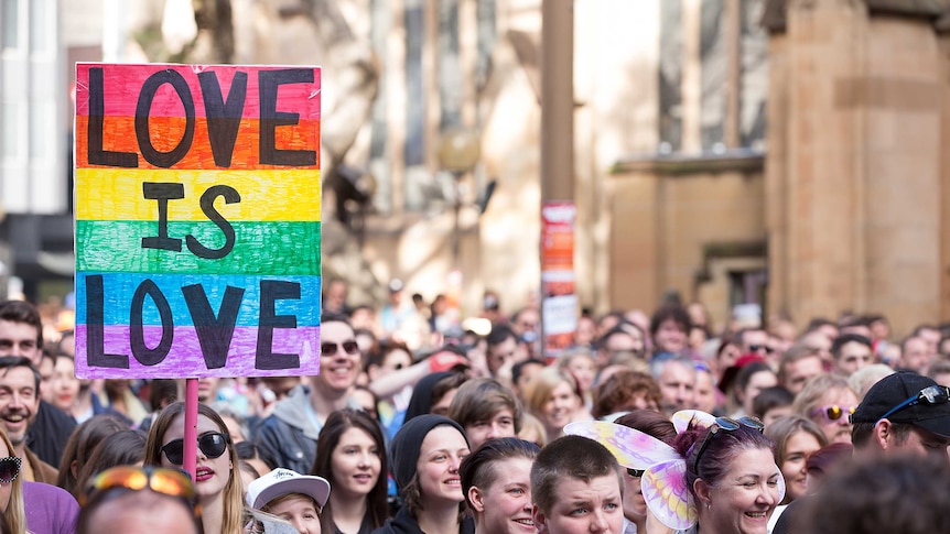 People hold coloured signs in a large crowd in support of same-sex marriage