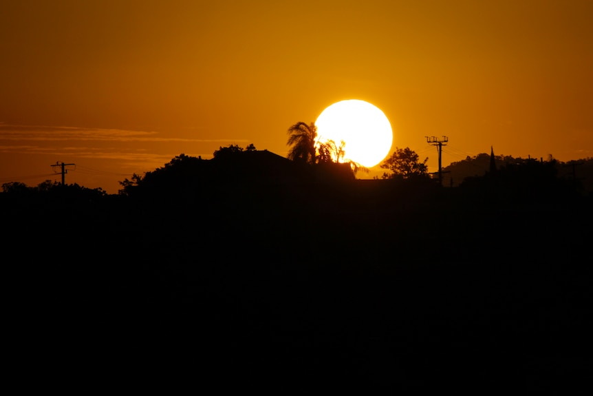 An orange sunset above the silhouette of houses and palm trees.