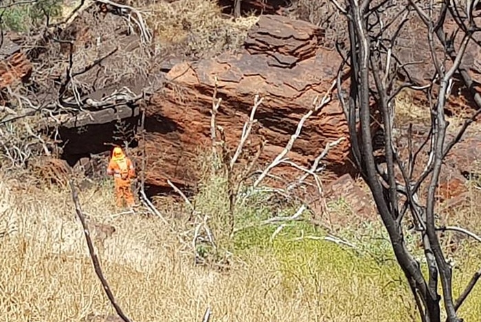 Searchers continue to scour Mt Nameless for Felicity Shadbolt