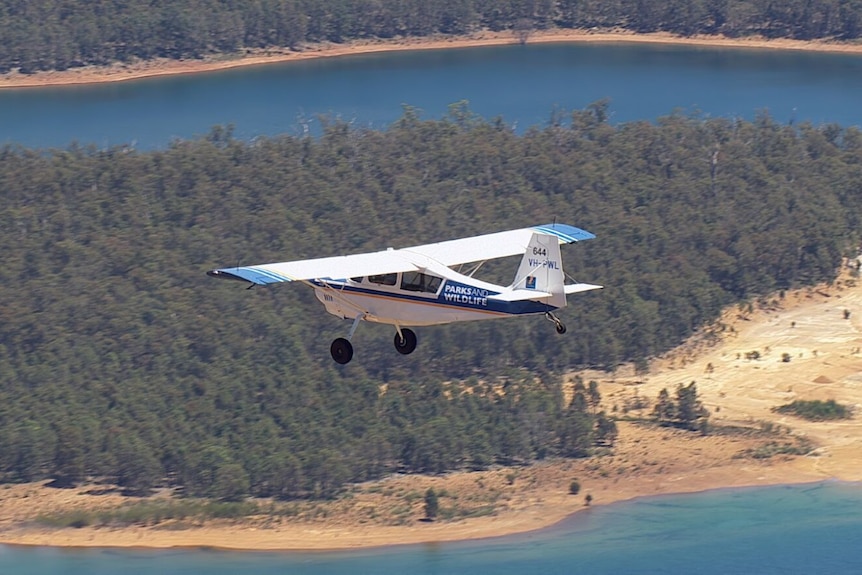 A plane flies over a dam ringed with forest, sandy area.