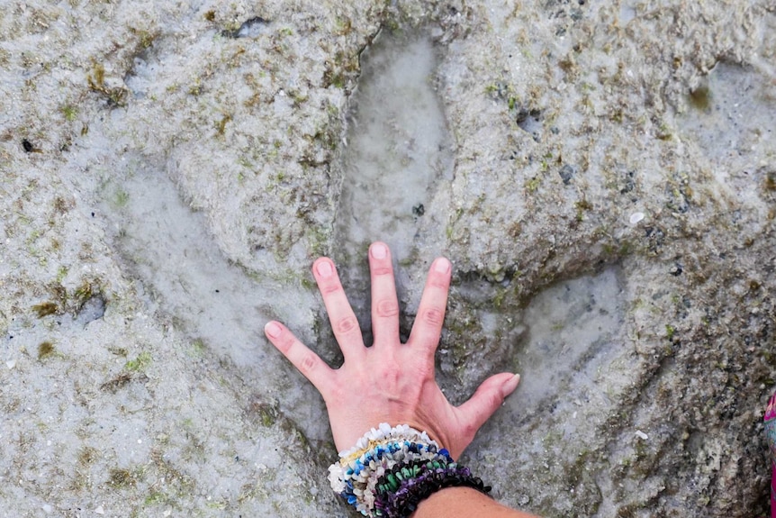 Bind Lee Porth places her hand in the dinosaur tracks she discovered.