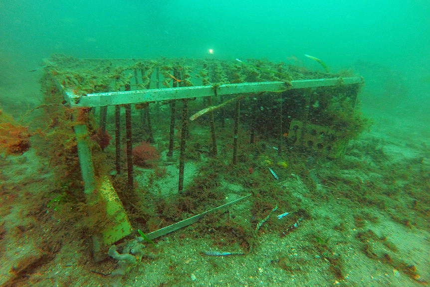An underwater photograph of a metal structure sitting on the ocean floor.